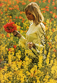 Illustration for article titled Woman Alive: Discover A Lovelier You
